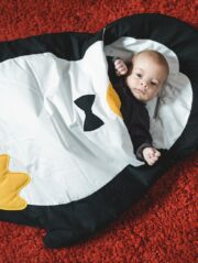 Sac de couchage pinguouin